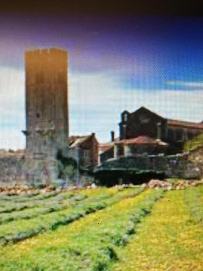 Lory Villa Sveti Lovreč Pazenatički Exteriör bild