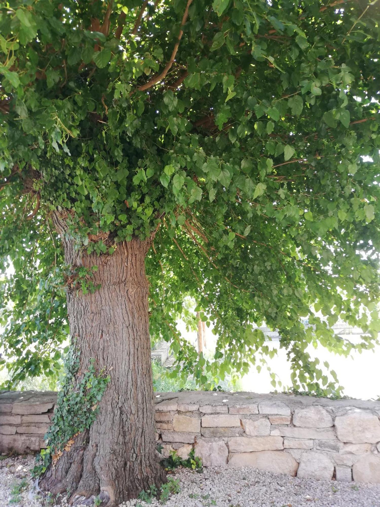 Lory Villa Sveti Lovreč Pazenatički Exteriör bild
