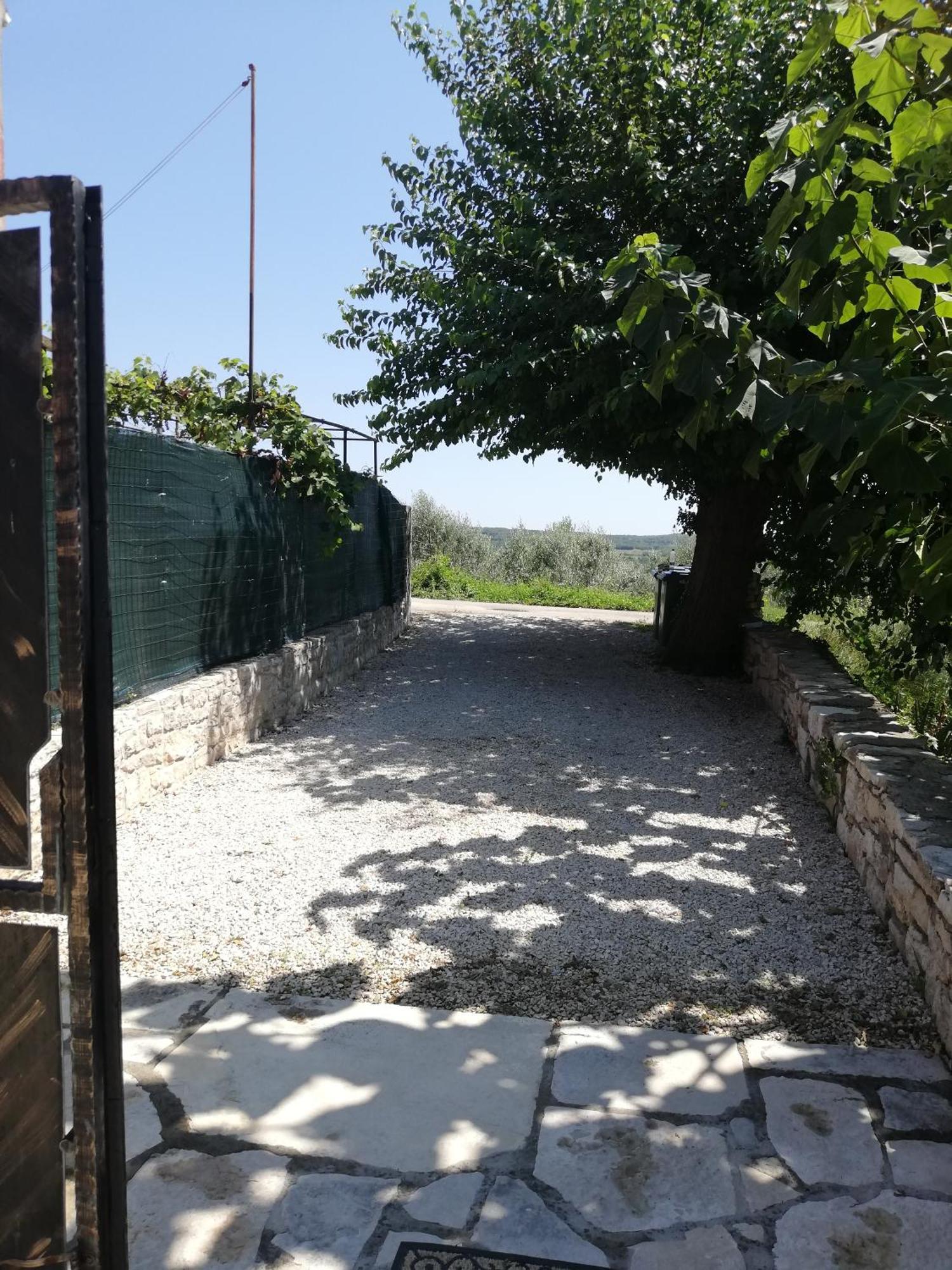 Lory Villa Sveti Lovreč Pazenatički Exteriör bild